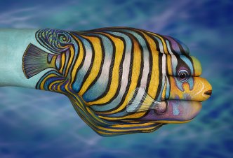 Tropical Fish - Ph. Guido Daniele